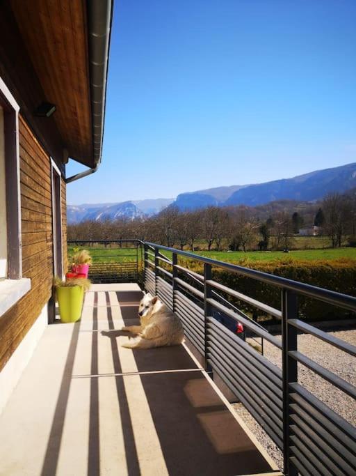 Balcons Du Royans.Logement Entier Piscine Saint-Jean-en-Royans Dış mekan fotoğraf
